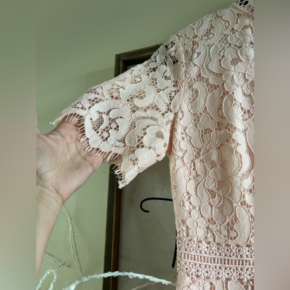 Rachel Parcell midi lace dress - Picture 7 of 8